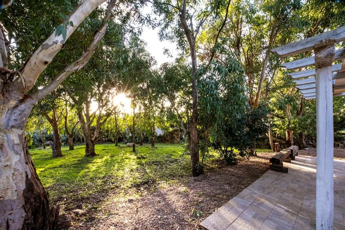 Holiday home Lo Stazzo Multa Bianca Relax Assoluto Nella Natura Pedrumalu
